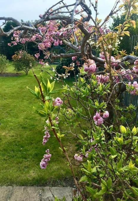 Kelvinside, Seahouses, 2 Minute Walk Into Village エクステリア 写真