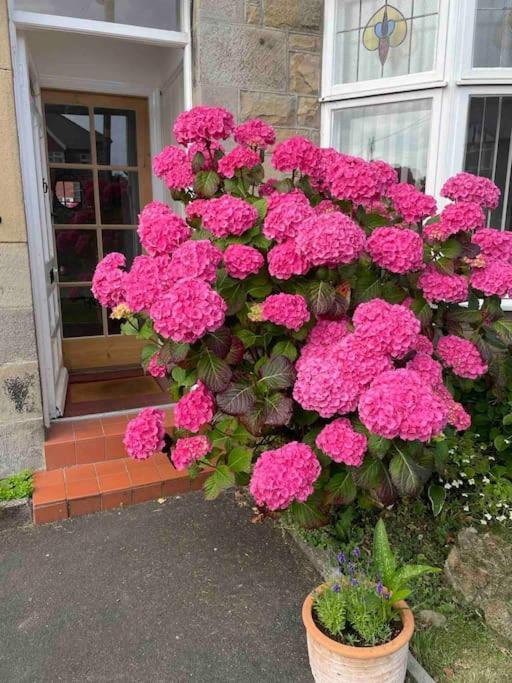 Kelvinside, Seahouses, 2 Minute Walk Into Village エクステリア 写真
