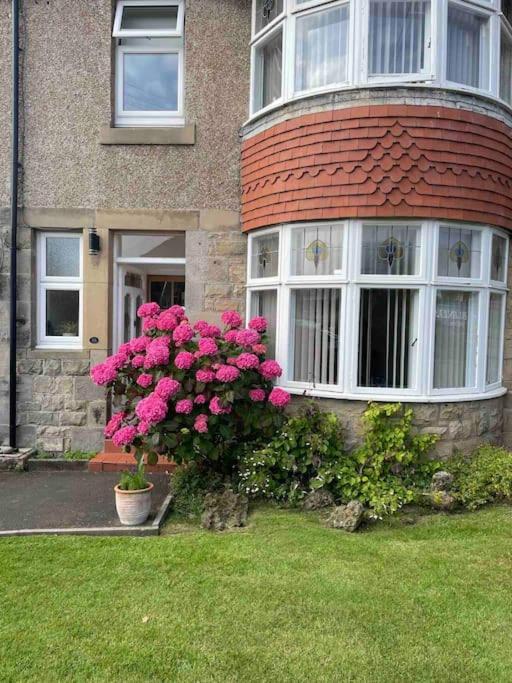 Kelvinside, Seahouses, 2 Minute Walk Into Village エクステリア 写真