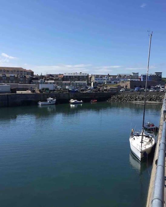 Kelvinside, Seahouses, 2 Minute Walk Into Village エクステリア 写真